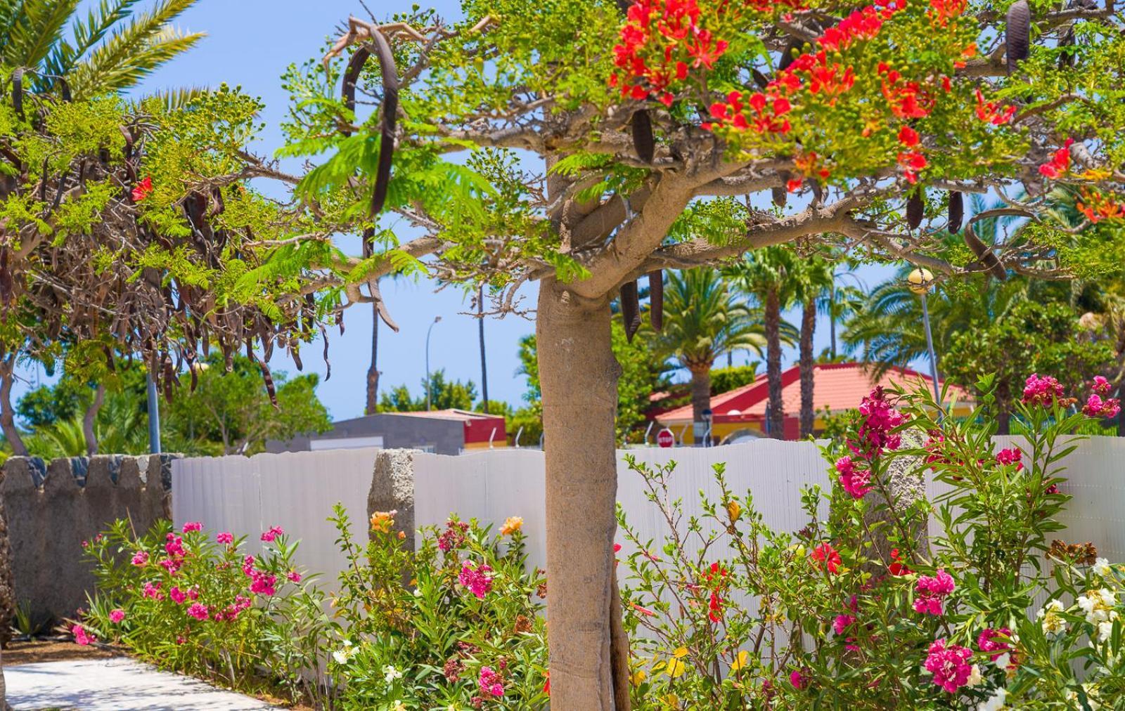 Bungalows Las Almenas Maspalomas  Ngoại thất bức ảnh