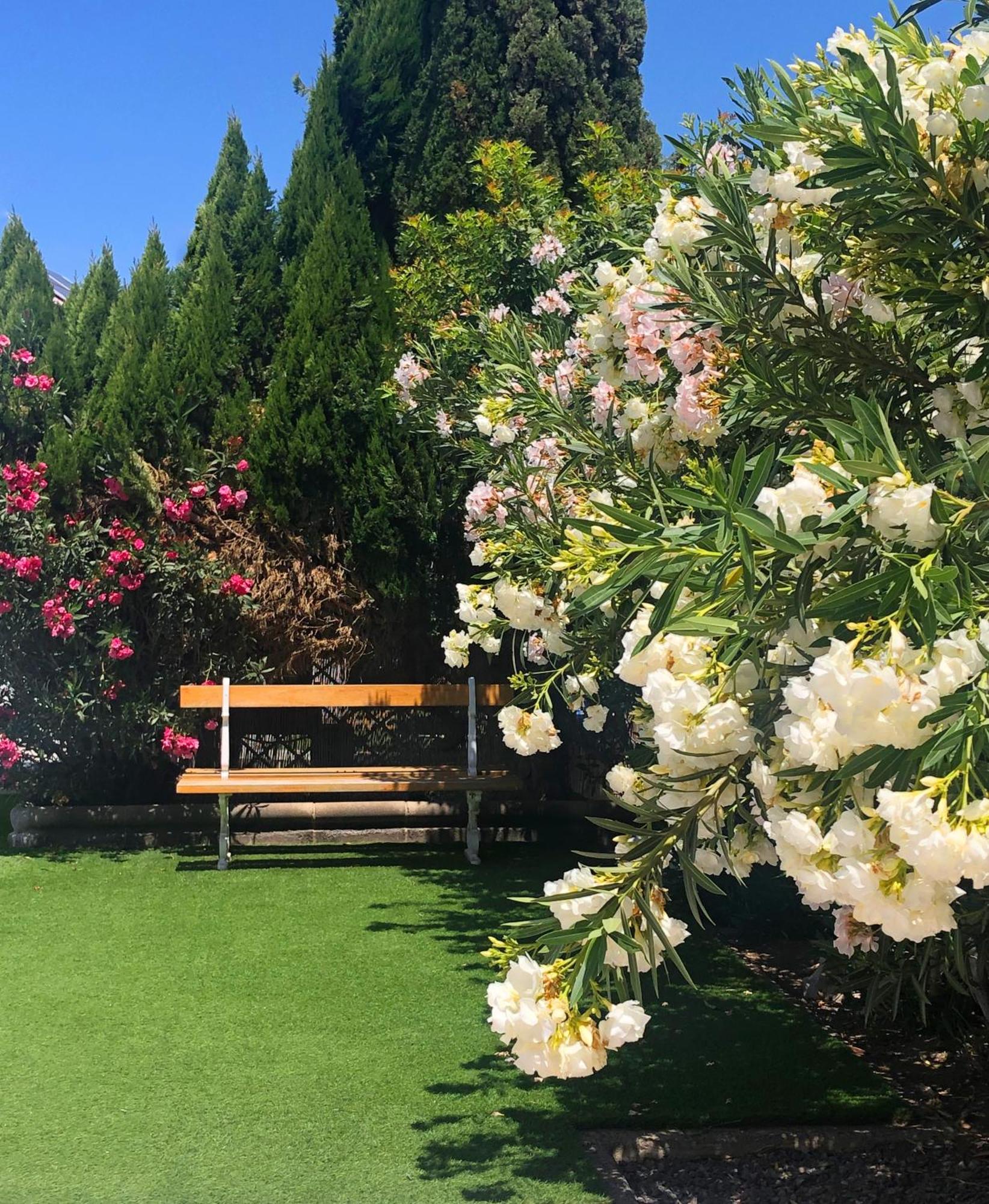 Bungalows Las Almenas Maspalomas  Ngoại thất bức ảnh
